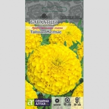 Бархатцы Тайшан F1 Желтые