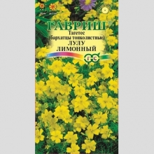 Бархатцы Лулу лимонный