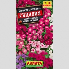 Барвинок Сицилия смесь окрасок