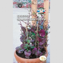 Базелла Заморский гость