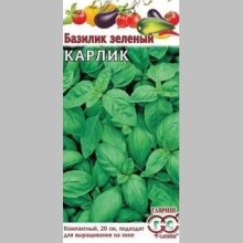Базилик Карлик Зеленый