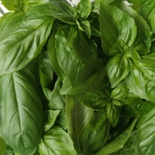 Базилик Венгерский коричный