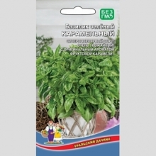 Базилик Карамельный зеленый