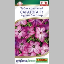 Табак Саратога F1 Пурпл Биколор (крылатый)