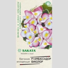 Бегония Амбассадор Биколор F1 вечноцветущая