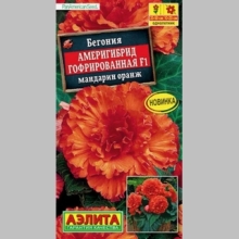 Бегония Америгибрид гофрированная F1 Мандарин Оранж