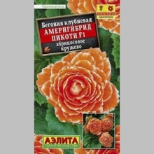 Бегония Америгибрид Пикоти F1 Абрикосовое Кружево