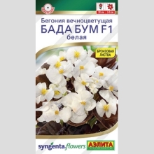 Бегония Бада бум F1 белая