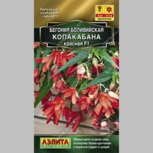 Бегония Копакабана F1 красная боливийская