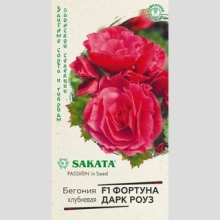 Бегония Фортуна Дарк роуз F1 клубневая