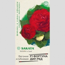 Бегония Фортуна Дип ред F1 клубневая