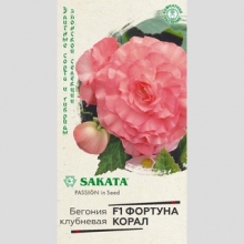 Бегония Фортуна Корал F1 клубневая