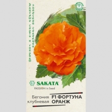 Бегония Фортуна Оранж F1 клубневая