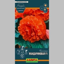 Бегония Мандариновая F1