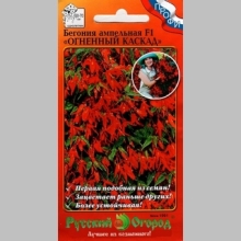 Бегония Огненный каскад  F1 ампельная