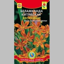Беламканда Веснушки китайская