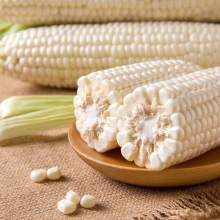 Кукуруза Белоснежка