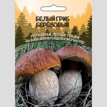 Грибы - Белый Гриб Березовый (мицелий) 30мл (большой пакет)