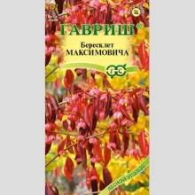 Бересклет Максимовича