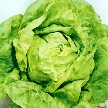 Салат Берлинский желтый