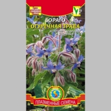 Бораго Огуречная трава