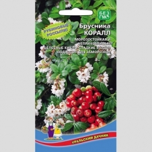Брусника Коралл