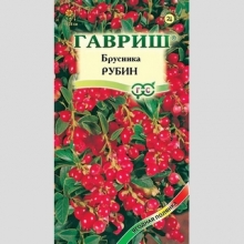Брусника Рубин