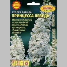 Буддлея Принцесса Лебедь