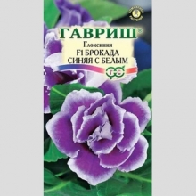 Глоксиния Брокада синяя с белым F1