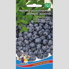 Черника Черное Золото