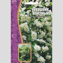 Чубушник Венечный (большой пакет)