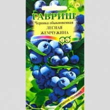 Черника Лесная жемчужина обыкновенная