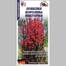 Лобелия Королева Виктория