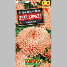 Астра Леди Коралл лососевая