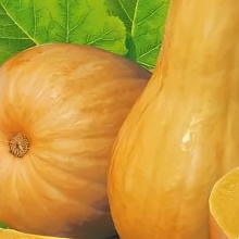 Тыква Дама в Шляпе