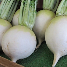 Редька Джапэн Бол Рабу (дайкон) (Саката)