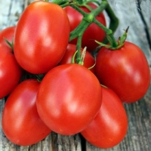 Томат Де Барао