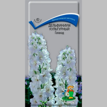 Дельфиниум Галахад культурный