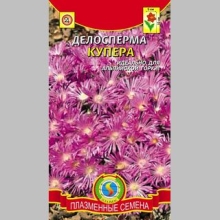 Делосперма Купера