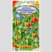 Дереза Красный алмаз (ягода Годжи)