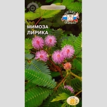 Мимоза Лирика стыдливая розовая