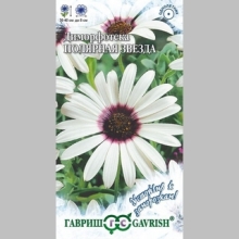 Диморфотека Полярная звезда