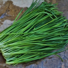 Лук Джусай (горный чеснок) душистый