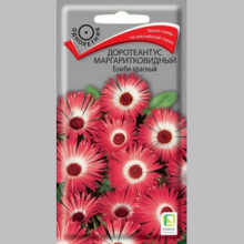 Доротеантус Бэмби красный маргаритковидный