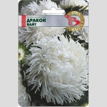 Астра Дракон селект Вайт