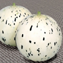 Дыня Принцесса Лея F1