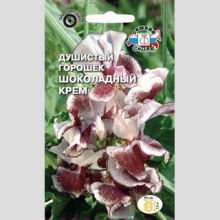 Горошек Шоколадный крем душистый