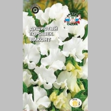 Горошек душистый Виконт