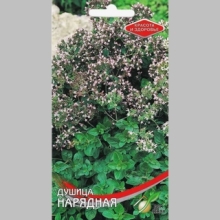 Душица Нарядная