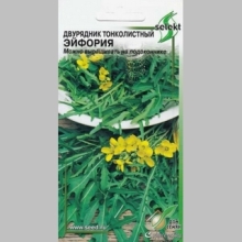 Двурядник Эйфория тонколистный